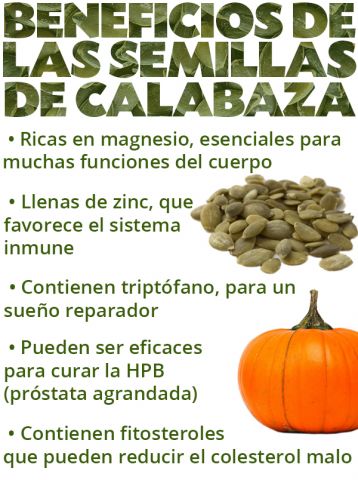 calabaza propiedades y contraindicaciones calabaza propiedades y contraindicaciones