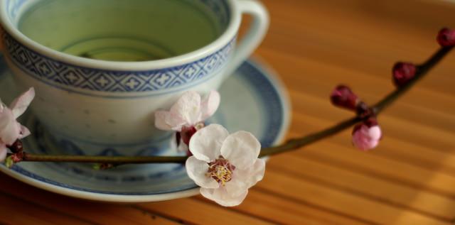 Empty tea cup and saucer 