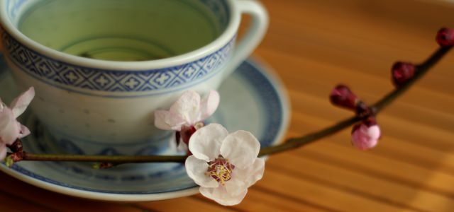 A large cup of green tea with a white flower stem as decoration