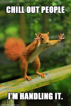 Image of a squirrel balancing on a beam