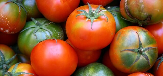 An assortment of green and red tomatoes