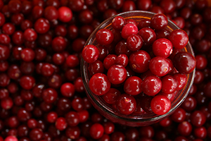 Cranberry fruit or extract offer a wide range of potential health benefits.