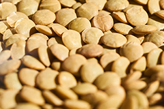 Pulses are great dietary ingredients for people who suffer with constipation.