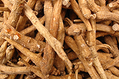 Health Benefits of Ginseng