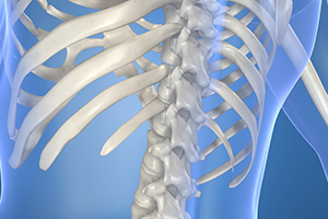 Magnesium plays a vital role in supporting a strong skeleton.