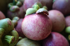 Mangosteens are considered to be one of the richest sources of xanthones known.