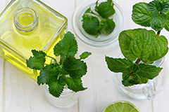 Peppermint oil may help to reduce feelings of nausea.