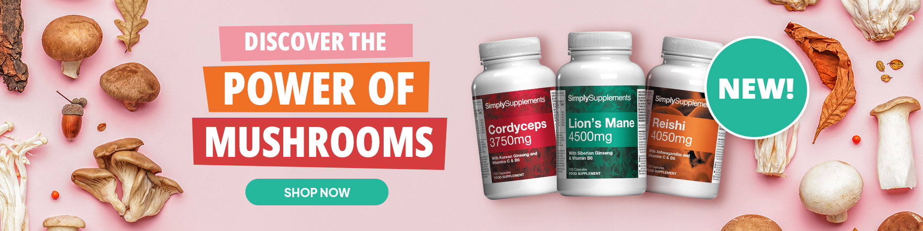 Discover the Power of Mushrooms - Shop now