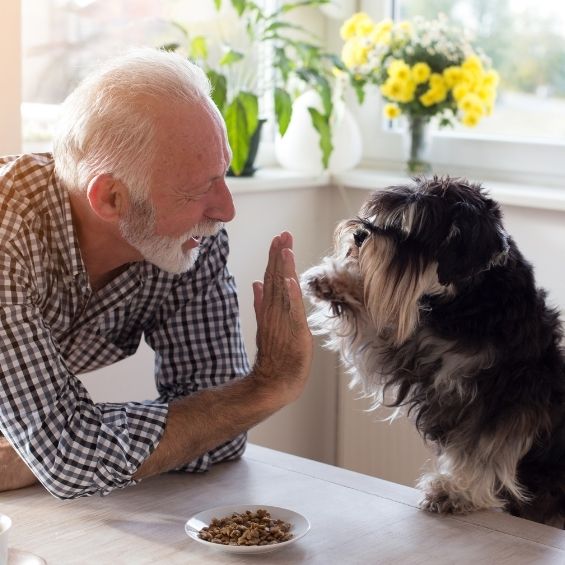 'healthy-treat-ideas-for-your-dog