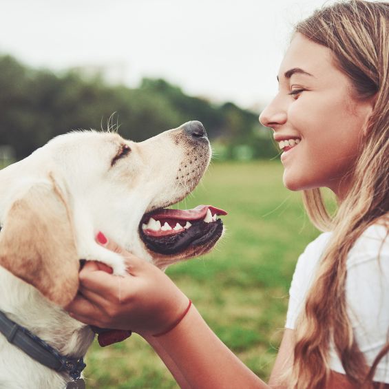 caring-for-your-dogs-teeth