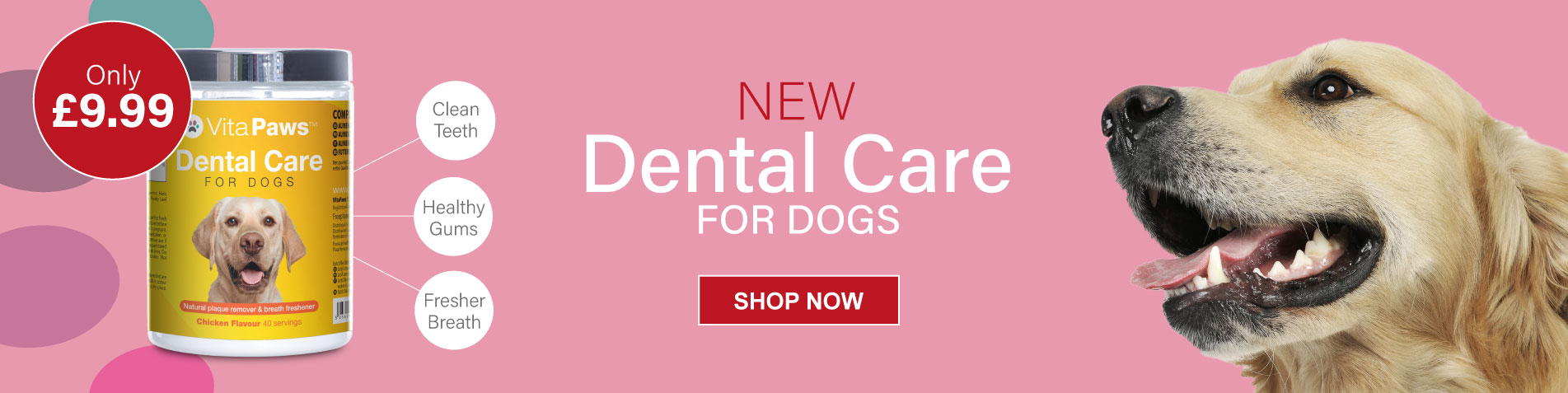New Dental Care for Dogs