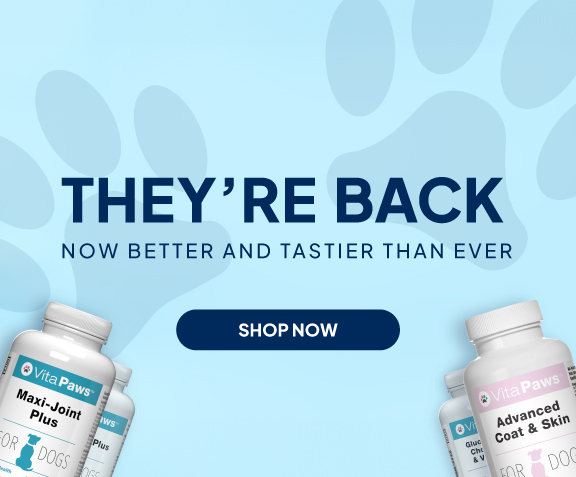 They're back - now better and tastier than ever! SHOP NOW