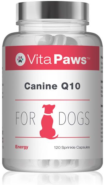 Canine Q10