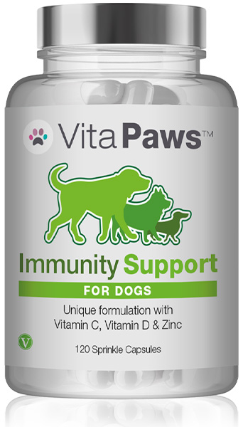 Immunity Support for Dogs 