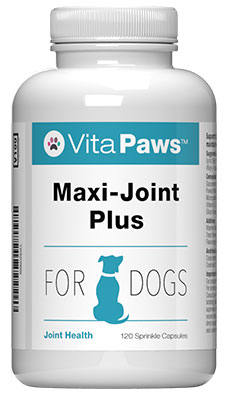 Maxi Joint Plus (120 Sprinkle Capsules)