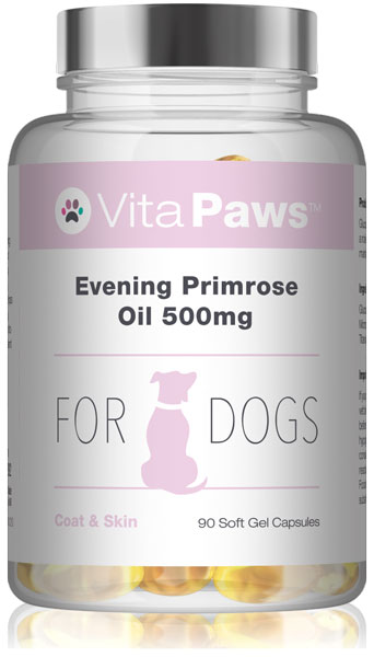 Primrose oil hotsell for dogs